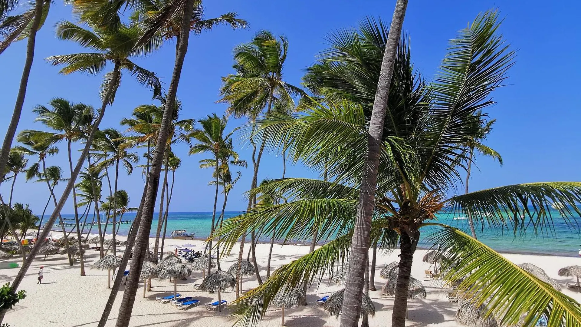 Aparthotel Caribbean Dream Suites With Rooftop Pool Playa Los Corales Punta Cana
